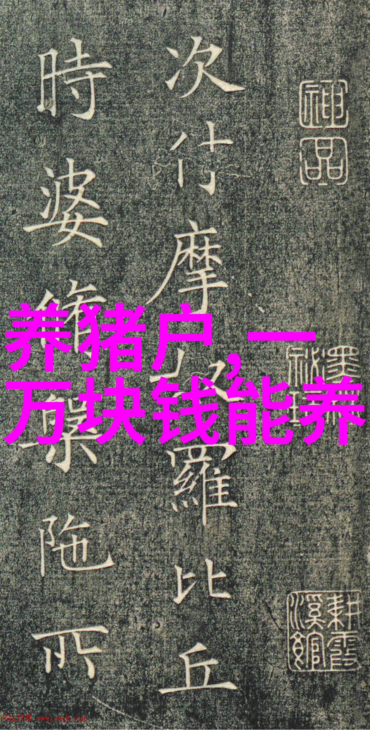 猪流感和猪感冒的治疗