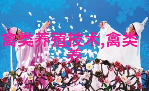 云南麻鸭