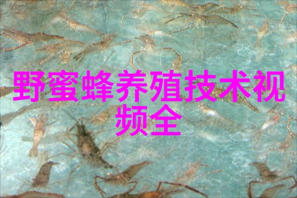 蜜蜂营养要求