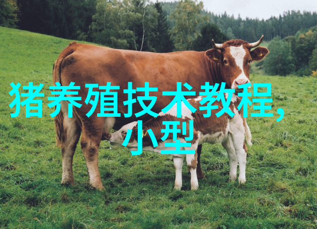 肾中穴封闭治疗猪黄白痢