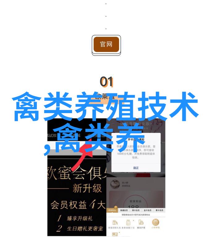 鹅绦虫病的治疗