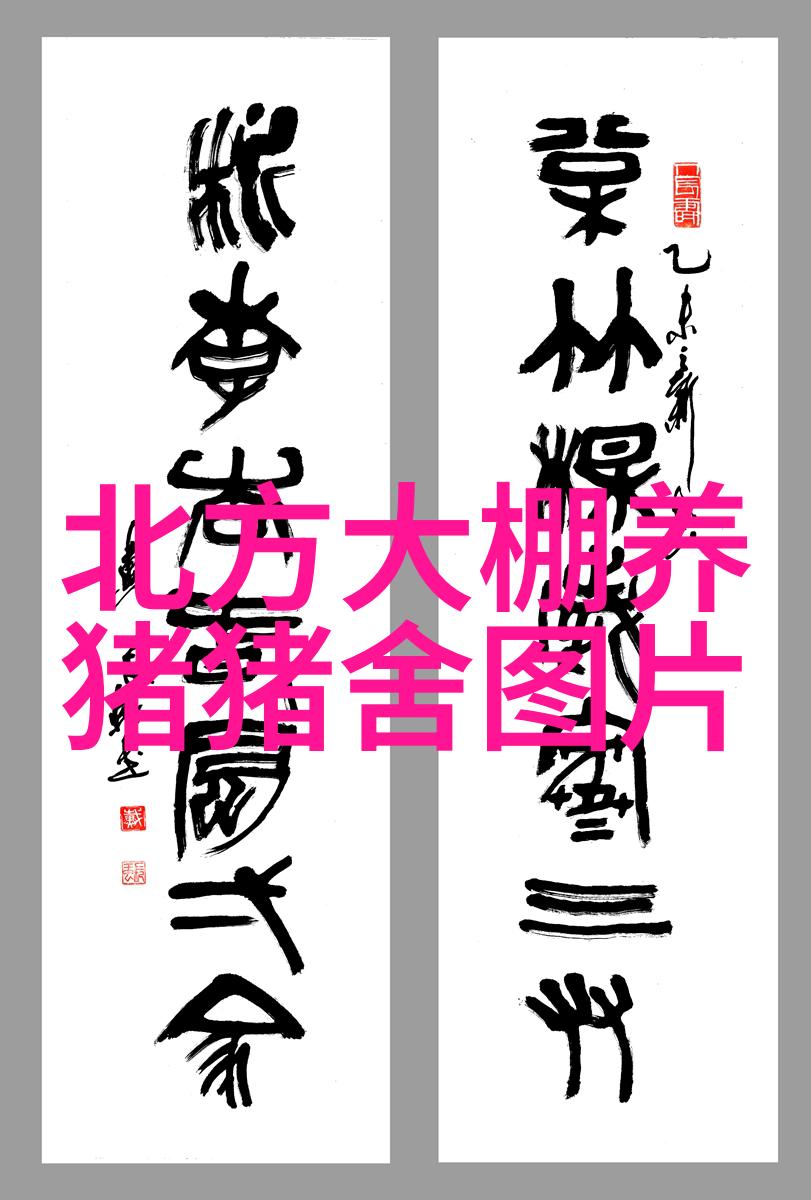 种公猪的细心管理