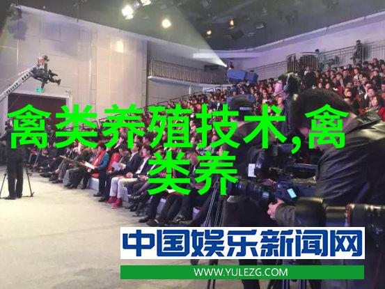鹅育雏方式