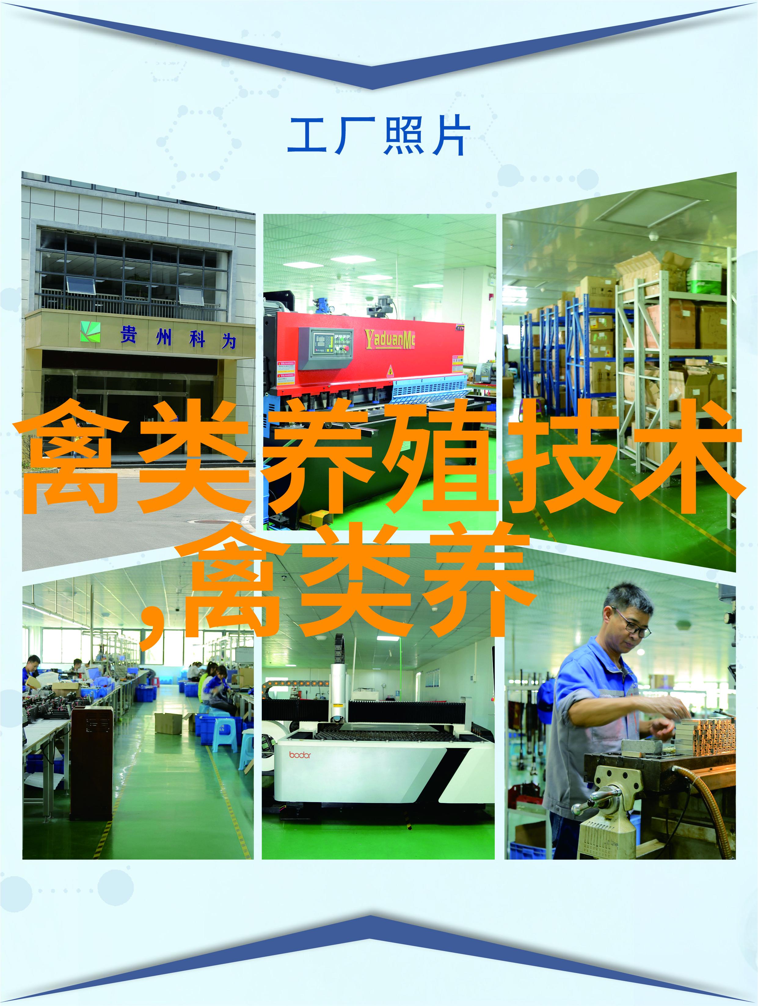 鹅常用解毒药