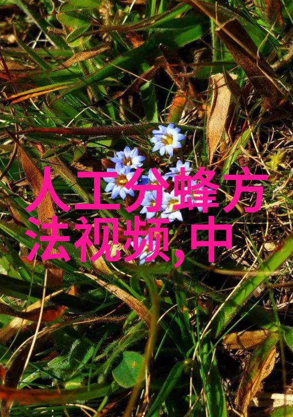辽东地区越冬蜂的培育