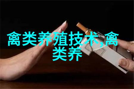鹅主要品种乌鬃鹅