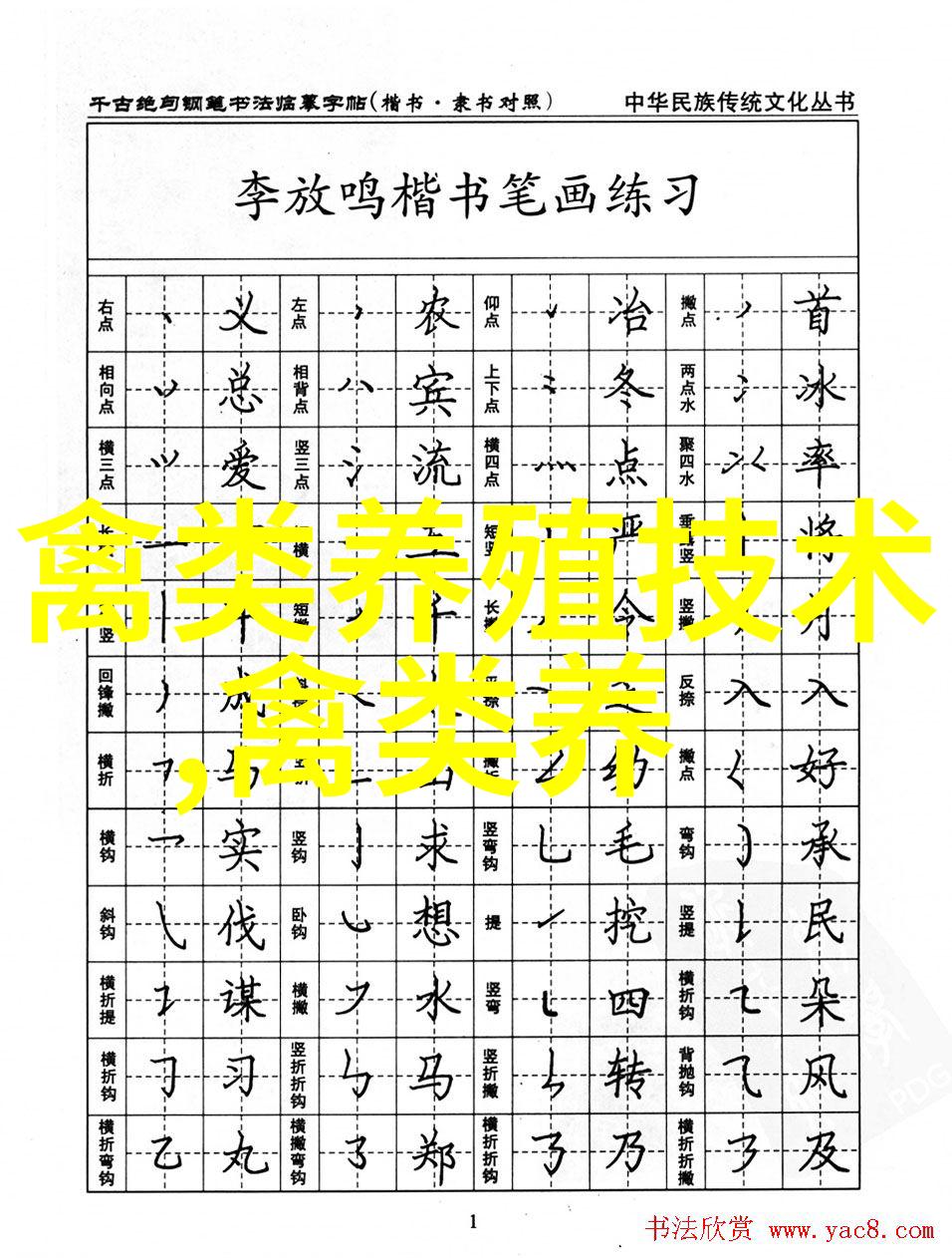 黑天鹅养殖技术
