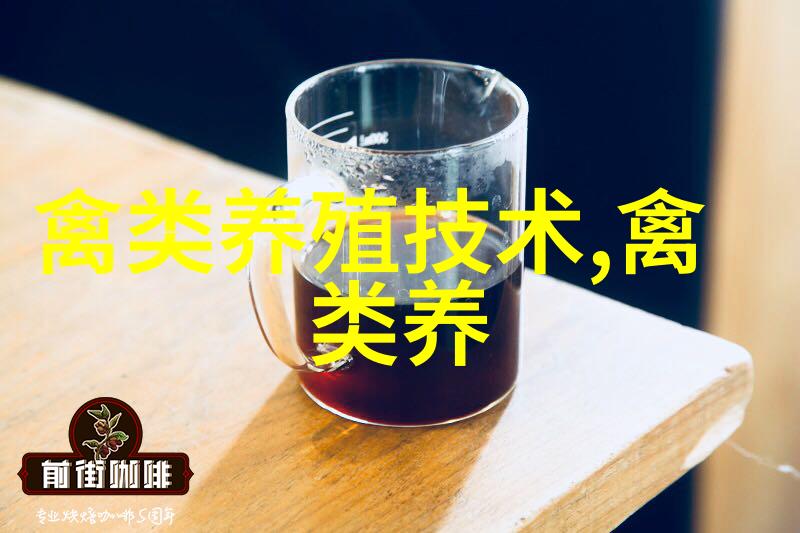 鹅肉干加工技术