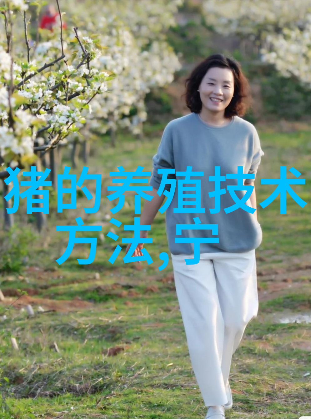 豆腐渣喂猪最好鲜喂