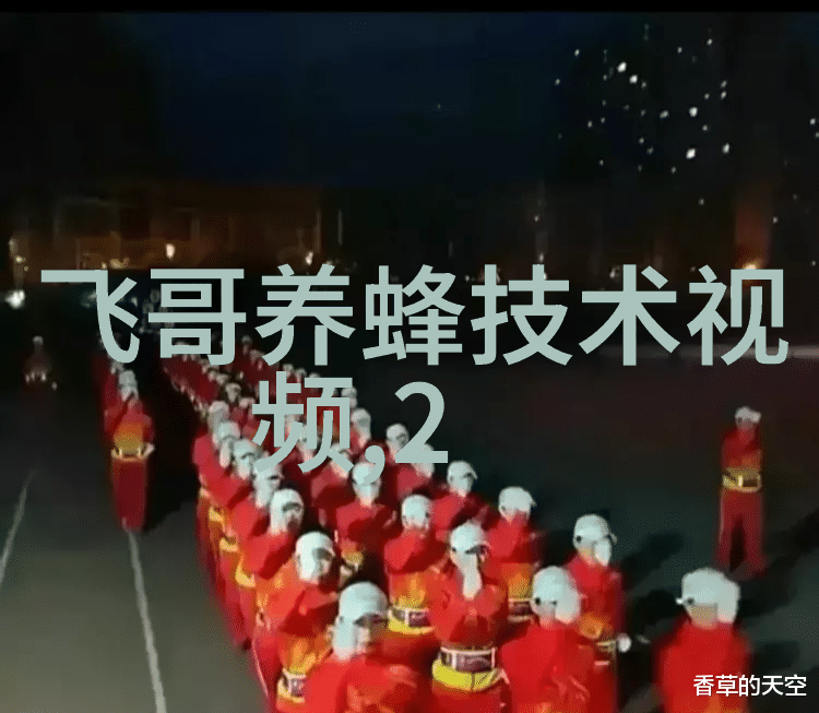 超强蜂群越冬