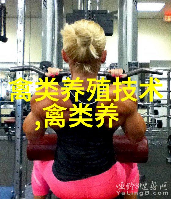 麻羽配套系鸭