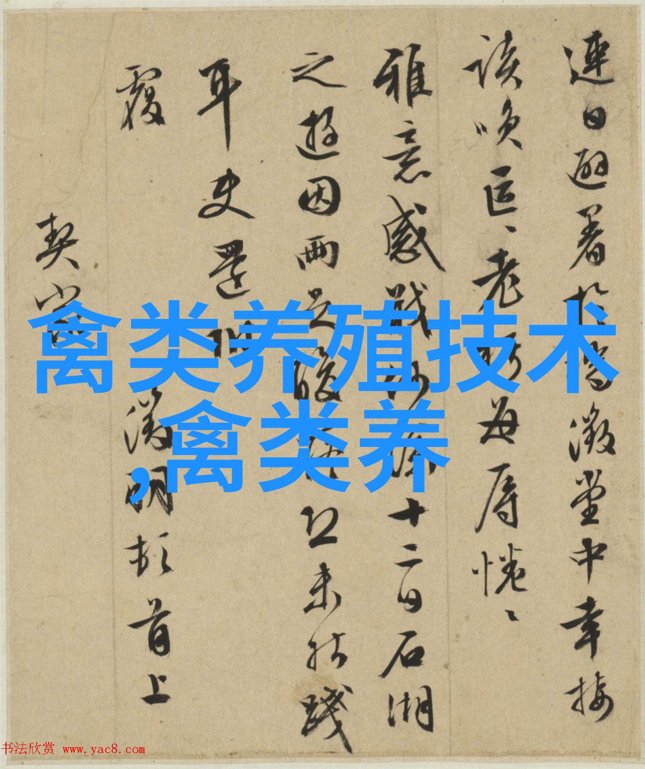 鹅主要品种伊犁鹅