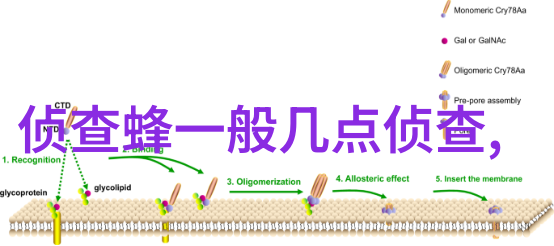 诊断蜂病六察