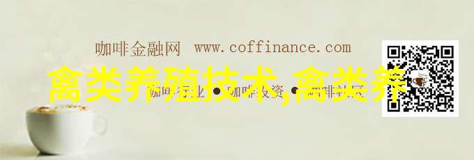 鹅类新品种莱茵鹅