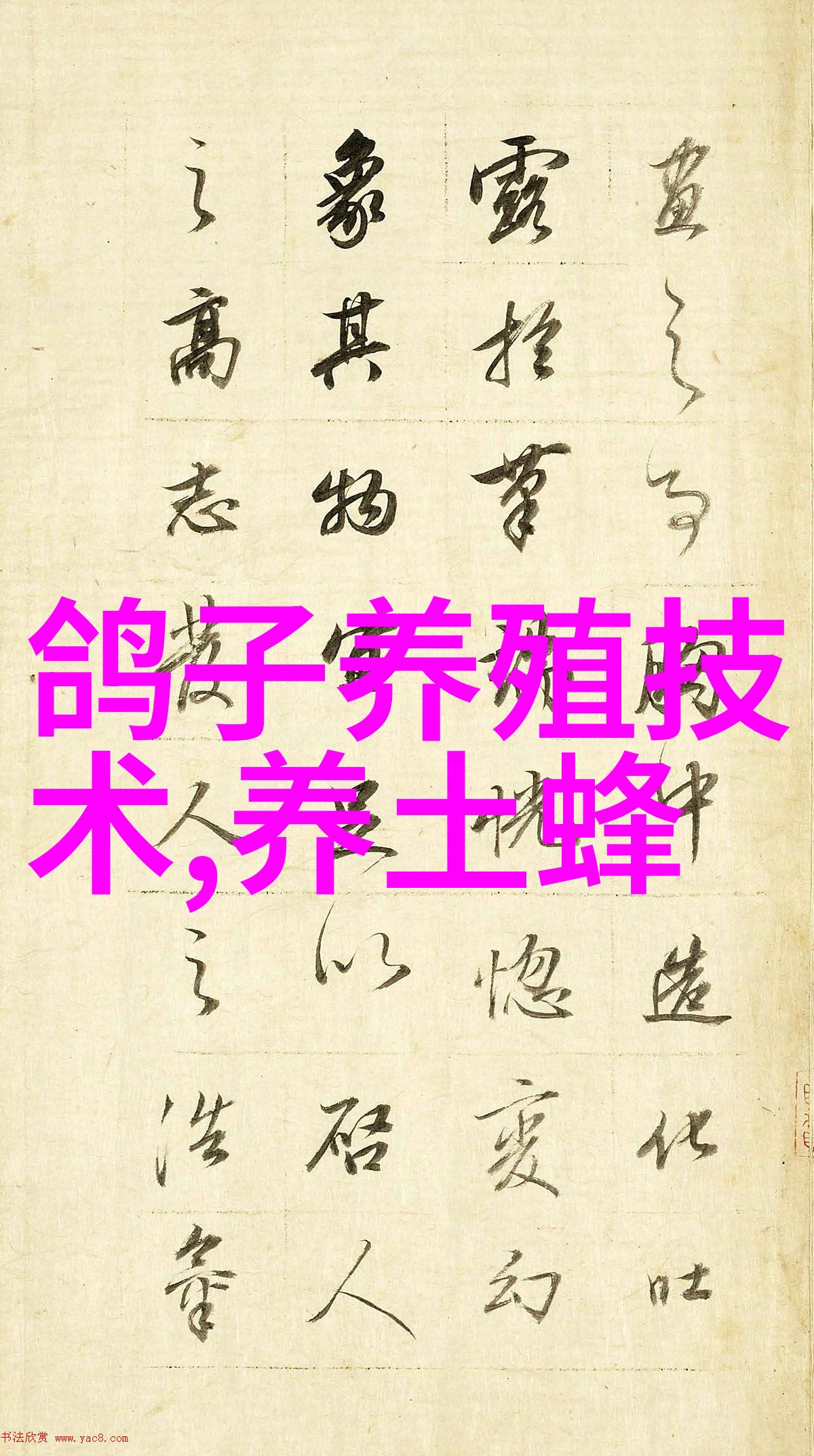 警惕蜜蜂冬痢