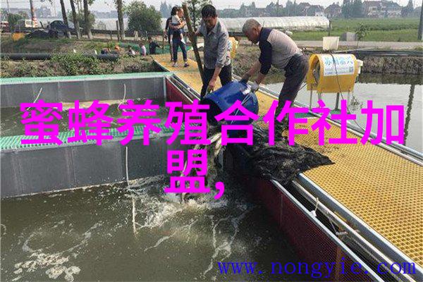 越冬蜂群为何死亡