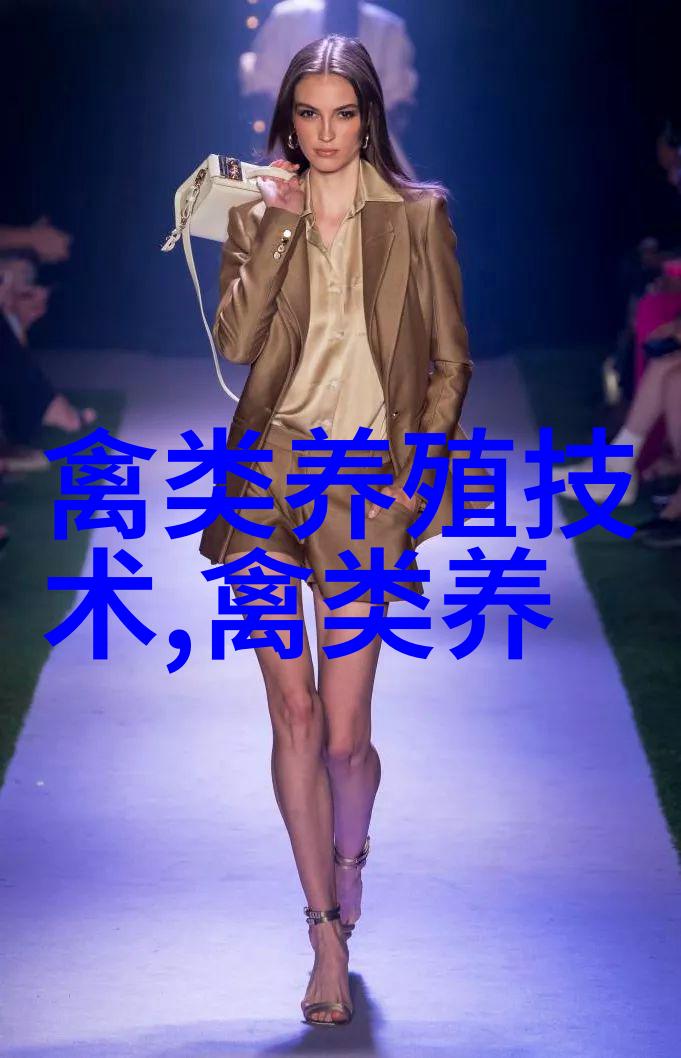 乌骨鸡饲养技巧