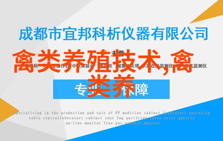 鹅常用抗生素药物氨苄青霉素氨苄西林安必仙