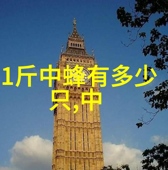 防治蜜蜂孢子虫病的八条措施