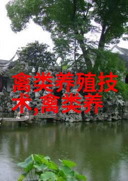 鹅主要品种太湖鹅