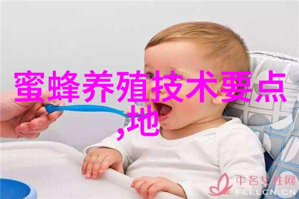 观箱外蜂 知箱内情