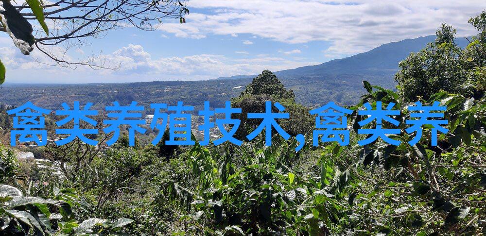 鹅舍消毒二法